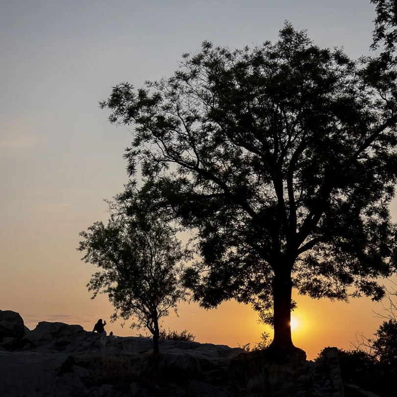 20210724  